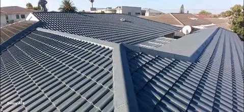 Professional roof painting and waterproofing